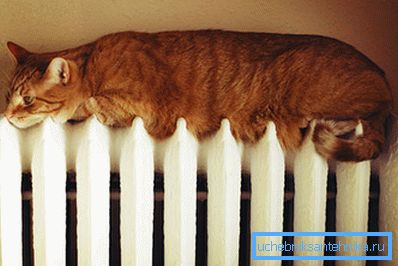 La grande surface du radiateur de chauffage en fonte attire non seulement les personnes.