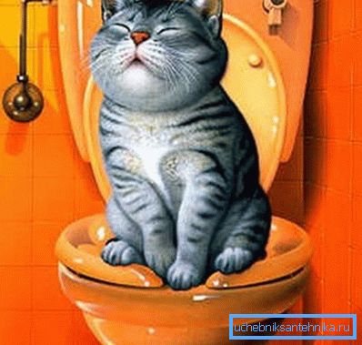 Chat heureux Chat heureux