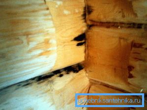 89 Une photo de moisissure sur les murs du hammam, apparue à la suite d'une mauvaise ventilation