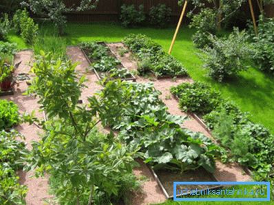 Un bon jardin a besoin de beaucoup d’arrosage. Un bon jardin a besoin de beaucoup d’arrosage.