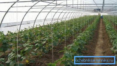 Le système de chauffage utilisé est sélectionné en fonction de la surface de la structure agrotechnique.