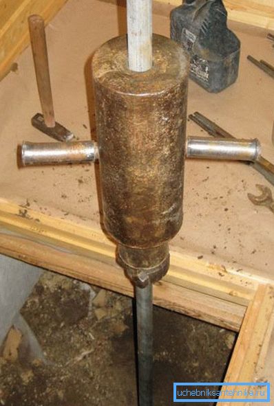 Bien faire l'Abyssin dans un sous-champ de la maison Bien faire l'Abyssin dans un sous-champ de la maison
