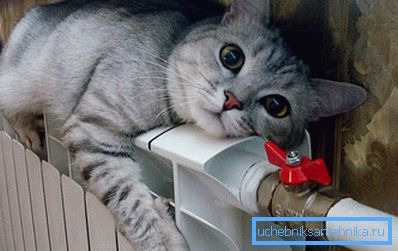 Le chat est chauffé sur un radiateur en aluminium