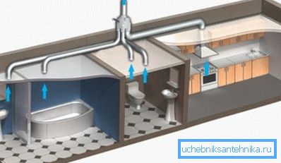 L'appartement doit être bien ventilé. L'appartement doit être bien ventilé.