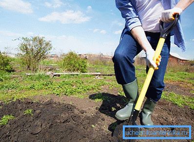 1243 Le lieu pour le cloaque a été choisi dans le jardin