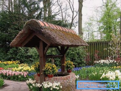 Sur la photo - la possibilité de décorer des bâtiments avec des fleurs Sur la photo - la possibilité de décorer des bâtiments avec des fleurs