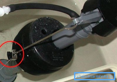 Sur la photo - la membrane du siphon est endommagée Sur la photo - la membrane du siphon est endommagée