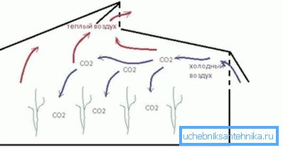 Sur la photo - le schéma le plus simple de ventilation en serre