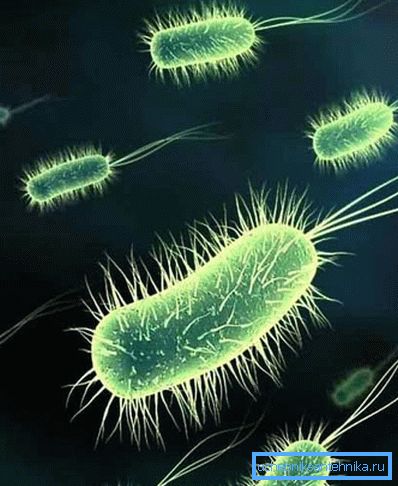 La présence de bactéries dans l'eau de boisson peut entraîner des maladies graves. La présence de bactéries dans l'eau de boisson peut entraîner des maladies graves.