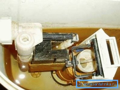 Vous ne savez pas - comment nettoyer la cuvette des toilettes à l'intérieur? Remplissez-le avec 4 litres d'eau tiède et de poudre et laissez-le pendant un moment, puis égouttez-le dans les toilettes. Vous ne savez pas - comment nettoyer la cuvette des toilettes à l'intérieur? Remplissez-le avec 4 litres d'eau tiède et de poudre et laissez-le pendant un moment, puis égouttez-le dans les toilettes.