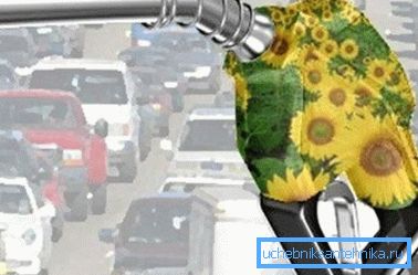 L'essence organique vous aide à gérer les problèmes environnementaux. L'essence organique vous aide à gérer les problèmes environnementaux.