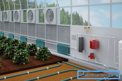 Chauffage des serres en polycarbonate en hiver avec un câble chauffant Chauffage des serres en polycarbonate en hiver avec un câble chauffant