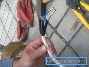 Nous connectons le câble de la pompe au réseau.