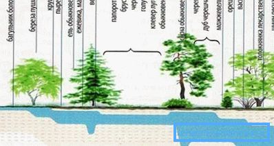La nature elle-même peut aider à trouver une place pour un puits (voir la description dans le texte) La nature elle-même peut aider à trouver une place pour un puits (voir la description dans le texte)