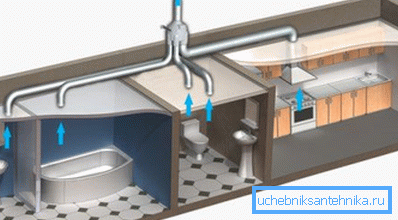 Le principe de fonctionnement des structures centrifuges