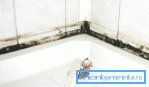 Moisissure dans la douche