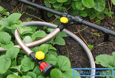 Système d'irrigation pliable Système d'irrigation pliable