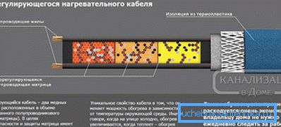 Autorégulation
