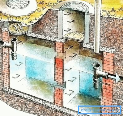 Schéma d'un cloaque à deux chambres Schéma d'un cloaque à deux chambres