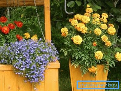 Lit de fleurs dans le puits Lit de fleurs dans le puits