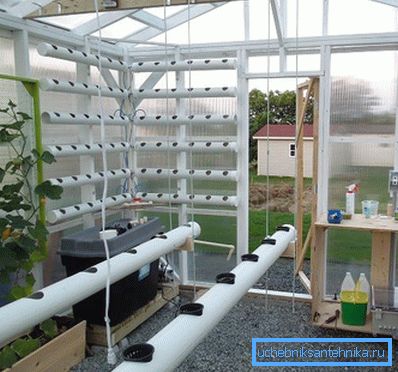 Conception pratique pour un développement sain des plantes Conception pratique pour un développement sain des plantes