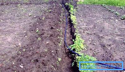Plomberie de tuyaux en plastique pour le jardinage, qui n'est pas démontée pour l'hiver Plomberie de tuyaux en plastique pour le jardinage, qui n'est pas démontée pour l'hiver